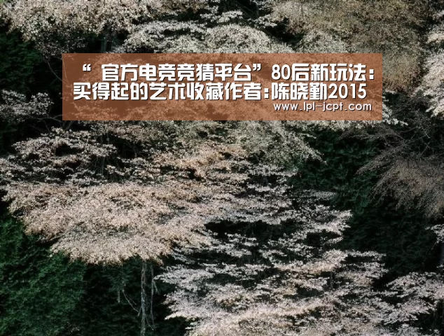  官方电竞竞猜平台