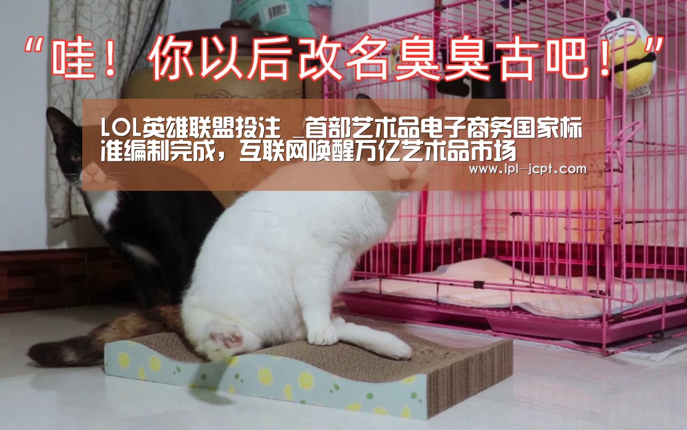 LOL英雄联盟投注 