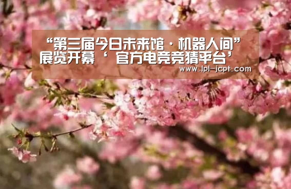  官方电竞竞猜平台